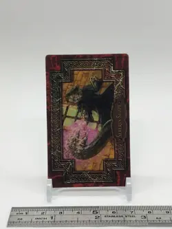 Severus Snape Harry Potter Chocolate Frog Card Japanese USJ Warner Bros b - Image 2