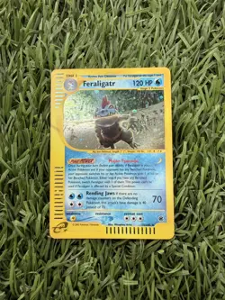 Feraligatr 12/165 Expedition Holo Rare Pokemon TCG - Image 2