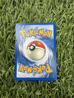 Feraligatr 12/165 Expedition Holo Rare Pokemon TCG - Image 3