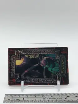 Voldemort Harry Potter Chocolate Frog Cards Japanese USJ Warner Bros c - Image 3
