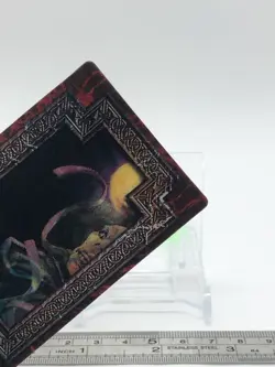 Voldemort Harry Potter Chocolate Frog Cards Japanese USJ Warner Bros c - Image 4