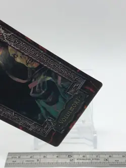 Voldemort Harry Potter Chocolate Frog Cards Japanese USJ Warner Bros c - Image 5