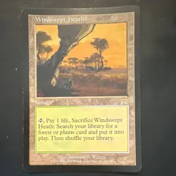 MTG Onslaught Windswept Heath Playset 2002 Fetch Land Card English - Image 3