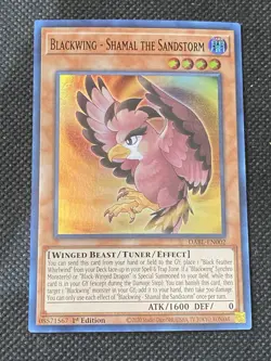 YuGiOh! Blackwing-Shamal the Sandstorm DABL-EN002 Super Rare 1st Edition NM - Image 1