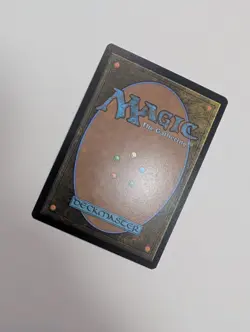 MTG - Deepchannel Duelist (Showcase) - Lorwyn Eclipsed NM/M Condition - Image 3