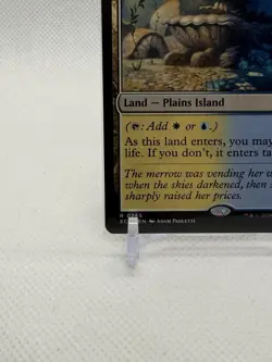 Hallowed Fountain #265 - Lorwyn Eclipsed (ECL) Non-Holo Rare Land MTG Card - Image 4