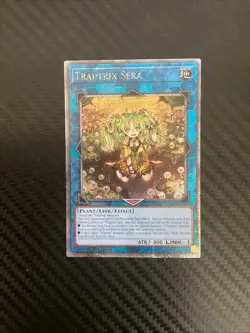 Yugioh | Traptrix Sera | RA04 | Quarter Century Rare | 1st Edition | NM - Image 1
