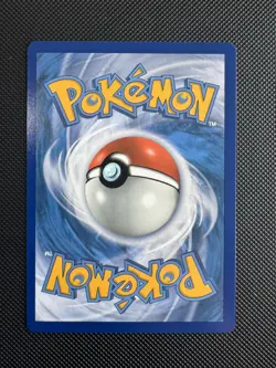 Tepig - 13/25 Holo McDonald's 25th Anniversary Promos - Pokemon Card - NM - Image 3