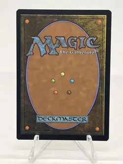 Misty Rainforest (Extended Art) #477 Modern Horizons 2 250001 - Image 2