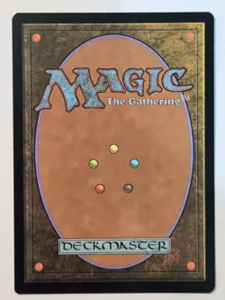 MTG Plains Kamigawa: Neon Dynasty 293/302 Regular Land - Image 3