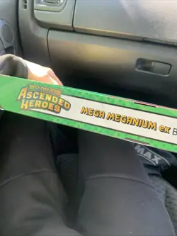 Ascended Heroes Mega Meganium EX Box Sealed Brand New Pokemon TCG - Image 3