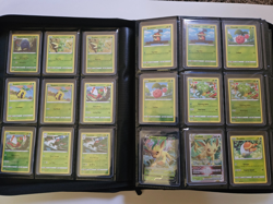 Pokemon Crown Zenith Complete Master set English plus some Promo cards - Image 2