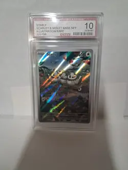 2023 Pokemon TCG Starly Illustration Rare Holo 221 Amg Gem Mint 10 - Image 4