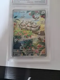 2023 Pokemon TCG Starly Illustration Rare Holo 221 Amg Gem Mint 10 - Image 5