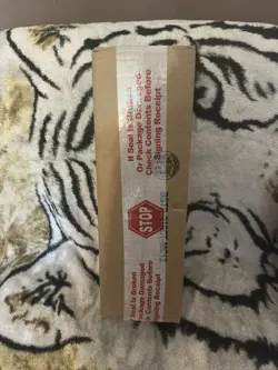 Pokemon TCG: Mega Evolution - ENHANCED Booster Box Sealed Case NEW - In Hand UK - Image 4