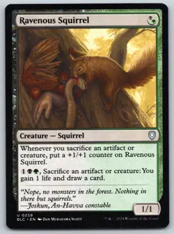 Ravenous Squirrel - Commander: Bloomburrow - MTG - Near Mint - Image 1