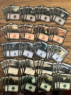 Mtg Time Spiral Basic Land Lot x80 Magic the Gathering Time Spiral 4x Each Art - Image 1