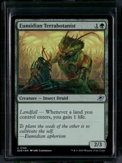 Eumidian Terrabotanist - 180 - Foil - EOE - NM - MTG Magic the Gathering - Image 1