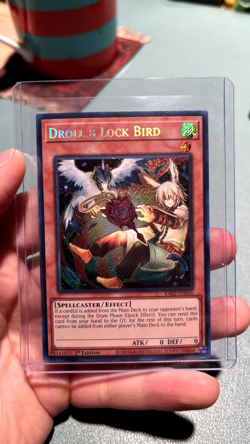 Droll & Lockbird: RA02-EN006 - Secret Rare - 1st Edition - YuGiOh - Image 1