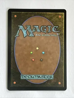 Magic the Gathering Raph & Leo, Sibling Rivals Teenage Mutant Ninja Turtles MTG - Image 2