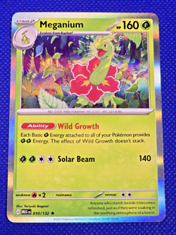 Meganium 010/132 Holo Rare - Pokemon ME01: Mega Evolution NM -- L59 - Image 1
