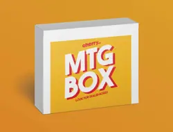 MTG Box - Magic The Gathering Mystery Box - Image 1