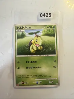 Japanese - Promo - Turtwig - 005/DP-P - Pokemon Card - Meiji - Image 1