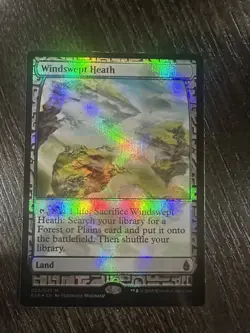Windswept Heath [Zendikar Expeditions] Foil LP - Image 3