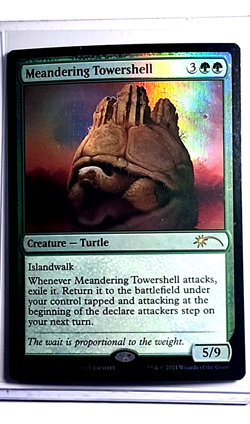 2021 MTG Magic the Gathering SLD Secret Lair Drop Foil 236 Meandering Towershell - Image 1