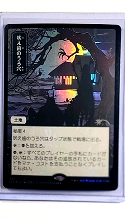 2022 MTG Magic the Gathering Secret Lair Japanese Japan Foil Howltooth Hollow - Image 1