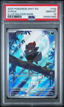 2025 POKEMON WHT EN-WHITE FLARE 142 ZORUA ILLUSTRATION RARE PSA 10 GEM MINT - Image 1