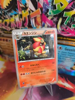 Pokemon Karte Card Pyroleo Pyroar Corocoro Promo Xy Black Star japanese NM - Image 1