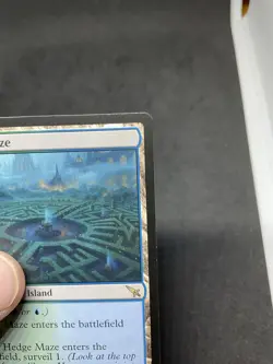 Hedge Maze Murders at Karlov Manor Regular MTG 0262 - Image 2