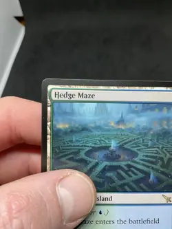 Hedge Maze Murders at Karlov Manor Regular MTG 0262 - Image 3