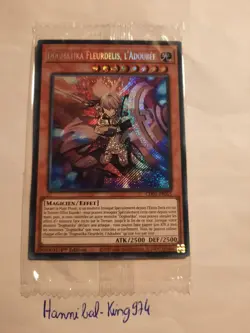 Yu-Gi-Oh ! Dogmatika Fleurdelis, l'adoubee CH01-FR015 Secrete rare scelle - Image 1