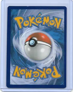 Pokemon TCG Eevee SWSH127 - Sword & Shield Black Star Promo NM - Image 2