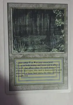 Bayou Revised Edition Regular - Image 1