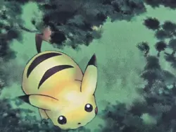 Pokemon Wotc Black Star Promo # 27 Pikachu,,not played - Image 4