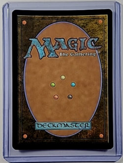 2025 MTG Magic The Gathering TDM Tarkir Dragonstorm Full Art Foil #272 Plains - Image 2
