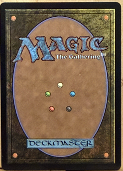 LIMITED EDITION Lorwyn MtG Ajani Outland Chaperone Unplayed NM BORDERLESS ART! - Image 2