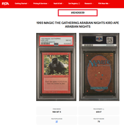 1993 MTG Magic The Gathering ARN Arabian Nights Vintage Kird Ape PSA 8 - Image 3