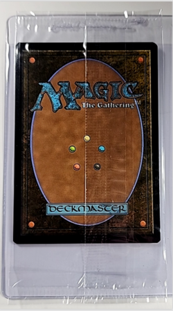 Magic The Gathering Secret Lair Borderless Promo Foil Deadeye Navigator *Sealed* - Image 2