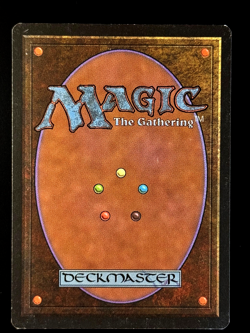 MTG - Fatal Lore - LP - Alliances - RARE - EN - REG - Image 2