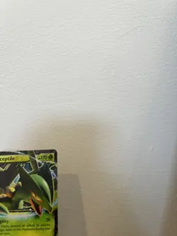 Pokemon Cards Sceptile EX XY53 XY Black Star Promos Promo LP - Image 3