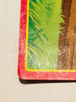 Torchic Pokemon Card Top Advanced Generation 004 Rare From Japan Nintendo F/S - Image 4