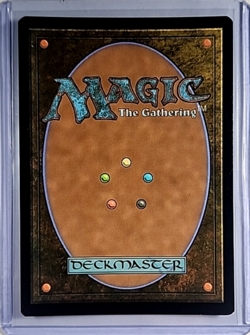 2023 MTG Magic The Gathering LOTR Showcase Scroll Foil #476 Protector of Gondor - Image 2