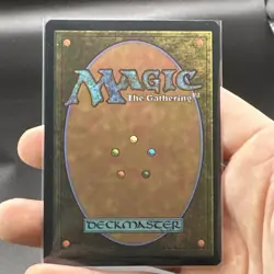 Turbulent Fen - 103 - MTG: Secrets of Strixhaven - Extended Art - Rare - Regular - Image 4