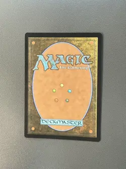 MTG Turbulent Wilderness (0107) Non-Foil Extended Art Secrets Of Strixhaven NM - Image 2