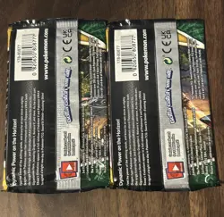 Pokemon Evolving Skies Booster Pack Wrapper Empty Umbreon Art Packaging Only PWE - Image 2