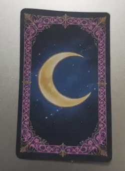 Sailor Moon Sailor Venus Waifu Card - Image 2